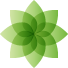Dr. Robert's Holistic Health and Alternative Medicine Blog!