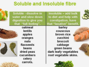 fiber and digestion