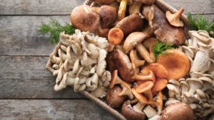 mushrooms cancer benefits health