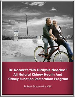 no dialysis kidney disease book